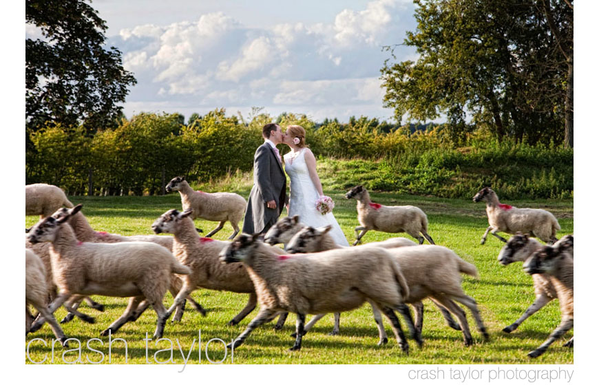 The best wedding photos of 2009, image by Crash Taylor Photography